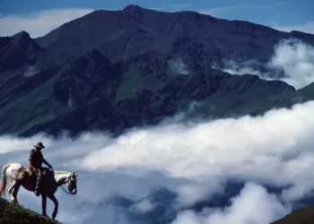 Todos los caminos llevan a Tucumán