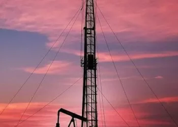 Empresas de Texas sufren la infracción de mano de obra por las políticas migratorias