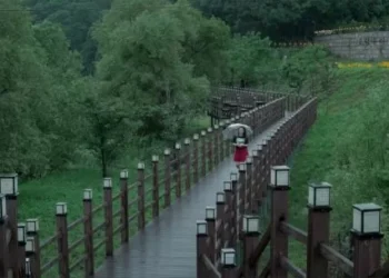 La película, que según Adorni “vieron 80 personas”, ganó como Mejor Documental en los Premios Sur 2025