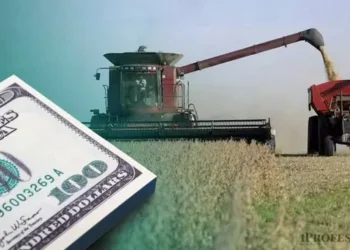 Alerta para inversores: graves problemas financieros para dos gigantes argentinos del agro