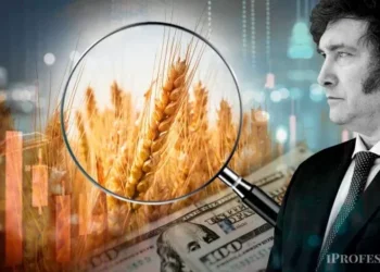 El mercado palpita una descenso de retenciones al agro y anticipa el impacto en el precio del dólar