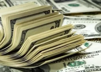 Schmidt: “Si el gobierno estuviera cómodo con el dólar coetáneo, no intervendría”