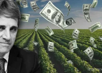 máximo para el dólar: pueden entrar más de u$s13.000 millones tras baja de retenciones