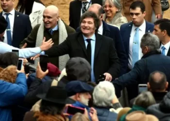 disminución de retenciones a carne y granos: la medida que ilusiona al agro, en la previa de Milei en La Rural