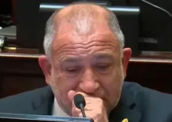 Luis decisivo se quebró al defender la emergencia en discapacidad: “Nuestros hijos son invisibles”