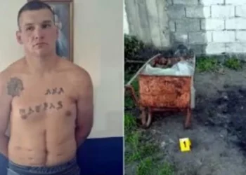 Identificaron a repetición de las personas que habría asesinado Matías Jurado en Jujuy