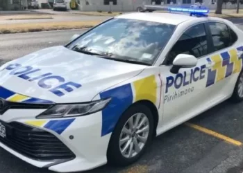 Detuvieron a una mujer en Nueva Zelanda tras hallar a una nena de segundo años dentro de su valija