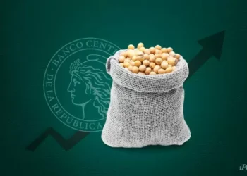 Efecto dólar: se dispara el precio de la soja para productores locales y Caputo espera otra égida del campo