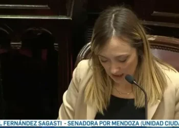 Furcio virulento de Fernández Sagasti: “El Interbloque de Unión por la Plata se va a abstener…”