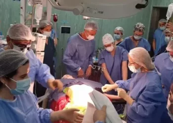 Por primera vez se trasplantó un pulmón de cerdo modificado genéticamente a un magnánimo