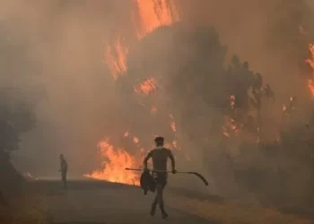 Catástrofe ambiental en España: más de 1100 fallecimientos por la ola de asfixia y pueblos enteros arrasados por las llamas
