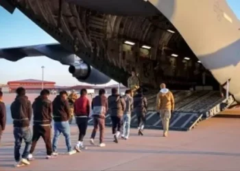 Amnistía Internacional acusa a Estados Unidos de usar IA para atisbar migrantes y estudiantes extranjeros