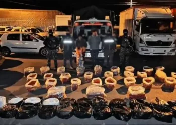 Ecuador decomisó un “emblemático cargamento” de explosivos que iba a ser transportado desde Perú hacia Colombia para “actos terroristas”