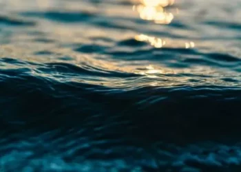 No dejarse encandilar