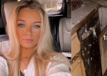 Video | muchacha calentó brownies en el microondas y provocó un incendio en su casa: ‘Fue la noche más aterradora de mi vida’