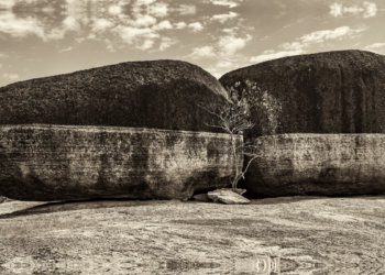 La memoria en las piedras: el lenguaje de Diego Almaral en ‘Línea de zumo (zumos bajas)’