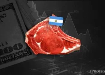 Estados Unidos comprará más carne argentina entretanto pone en marcha un plan de autoabastecimiento