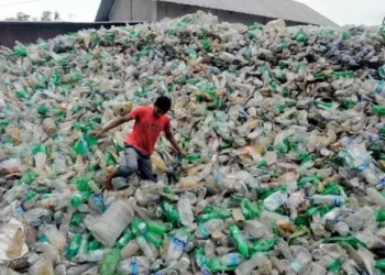 La solución está basada en la economía circular