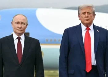 Trump presiona a Putin en Ucrania tras lograr el alto el andanada en Gaza