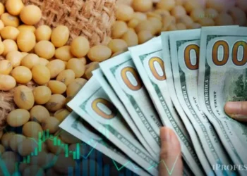 Bronca entre productores de soja: reciben mejor importe pero pierden una parte por brecha del dólar