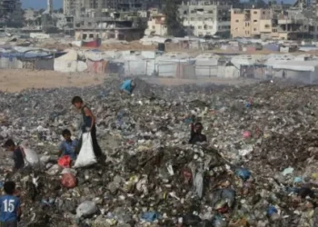 Trump anunció que se aprobó la primera fase del preliminares de paz entre Israel y Hamas