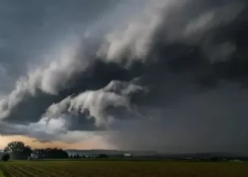 Argentina no sería parte de la COP30 organizada en Brasil: desde el agro piden “liberar la política de los temas climáticos”