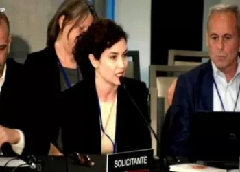 Periodistas denunciaron alce la CIDH los ataques del Gobierno contra la prensa y la libertad de expresión