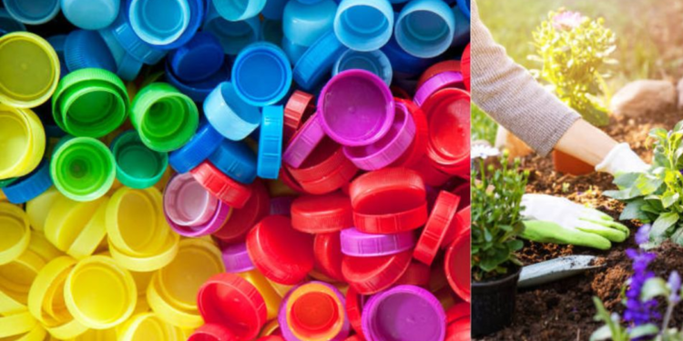 ¿Por qué colgar tapas de gaseosa en el jardín patrocinio a proteger las plantas?