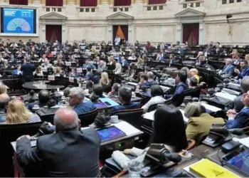 La “motosierra” llegó al garaje del Congreso: rematan 20 autos oficiales