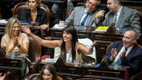 Villaverde bajo la lupa del Senado: rechazaron su diploma en comisión y su esperanza se definirá en el recinto