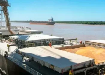 La actividad de las cadenas agropecuarias marcó un récord en noviembre