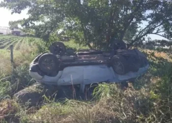 Recibió un mate mientras manejaba hacia la Costa, volcó y murió