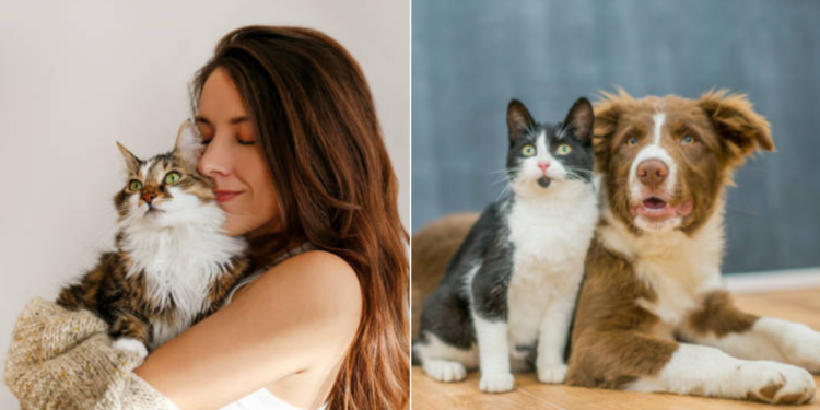 ¿Por qué las mascotas se convierten en la mejor compañía para enfrentar el escozor?