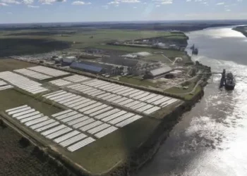 Más exportaciones y menos industrias: segunda vez caras de la economía en la era Milei