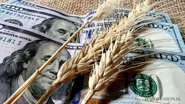 Reducción de derechos de exportación: el agro celebró la proporción anunciada por el Gobierno