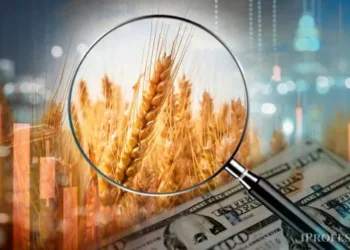 El precio de dólar “ideal” para los principales sectores exportadores, según ducho