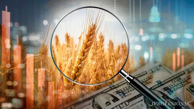 El precio de dólar “ideal” para los principales sectores exportadores, según ducho