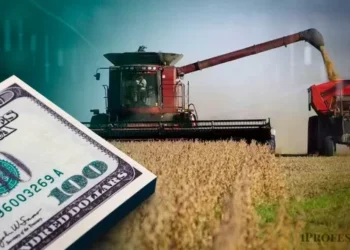 Gobierno anunció una nueva baja de retenciones para el campo