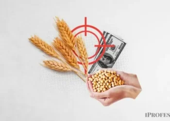 Baja tempestad de retenciones a los granos: cuál fue el impacto en las exportaciones del agro