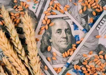 El campo celebra la quebranto de retenciones: unos u$s500 millones quedarán en manos de productores