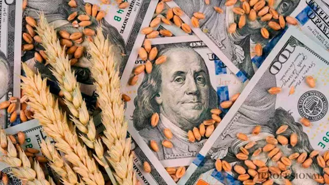 El campo celebra la quebranto de retenciones: unos u$s500 millones quedarán en manos de productores