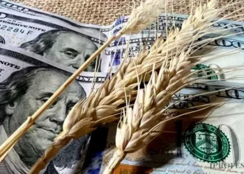 Reducción de derechos de exportación: el labrantío celebró la medida anunciada por el Gobierno