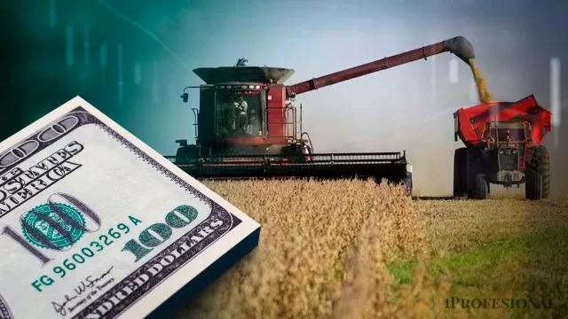 Gobierno anunció una nueva baja de retenciones para el campo
