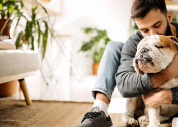 ¿Por qué dicen que los perros no deben dormir en el estudio? Veterinaria revela los riesgos para las mascotas