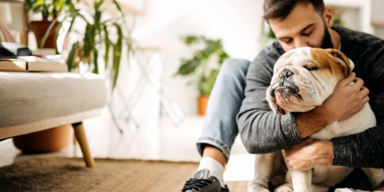 ¿Por qué dicen que los perros no deben dormir en el estudio? Veterinaria revela los riesgos para las mascotas