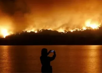 Denuncias y fuego fuera de control: el gabinete intervino el parque nacional Los Alerces