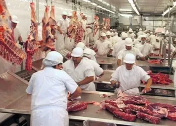 canto estableció una cuota para la carne argentina: cómo afectará a los exportadores