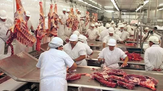 canto estableció una cuota para la carne argentina: cómo afectará a los exportadores