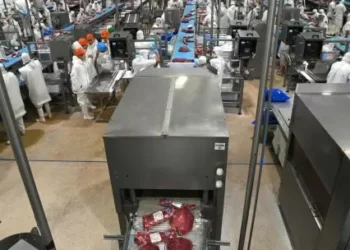 El acuerdo Mercosur-UE trae espina buena noticia para el campo: el fin de retenciones a las exportaciones