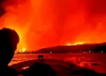 Incendios en la Patagonia: el ministerio de Chubut aseguró que “hubo intención criminal” y que el fuego está “incontrolable”